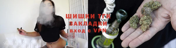 сатива Алексеевка