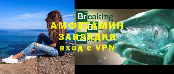трава Новозыбков