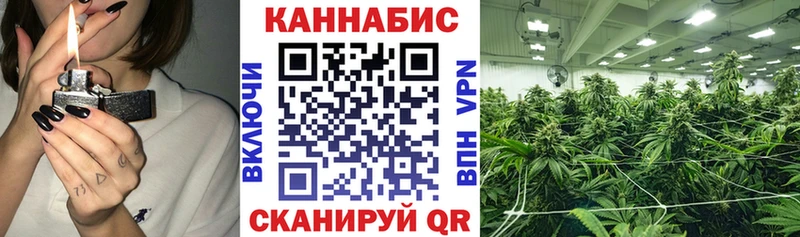Каннабис White Widow  Миньяр 